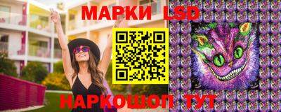прущие грибы Обь