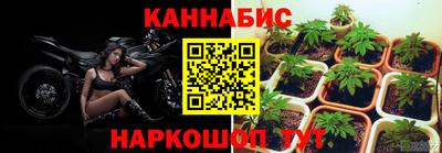 прущие грибы Обь